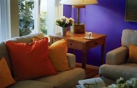 Цвет в интерьере вашего дома Более 65000 визуальных сочетаний (на спирали) артикул 480a.