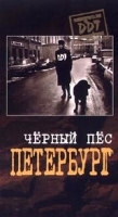 ДДТ: Черный пес Петербург (фильм - концерт) артикул 8671a.